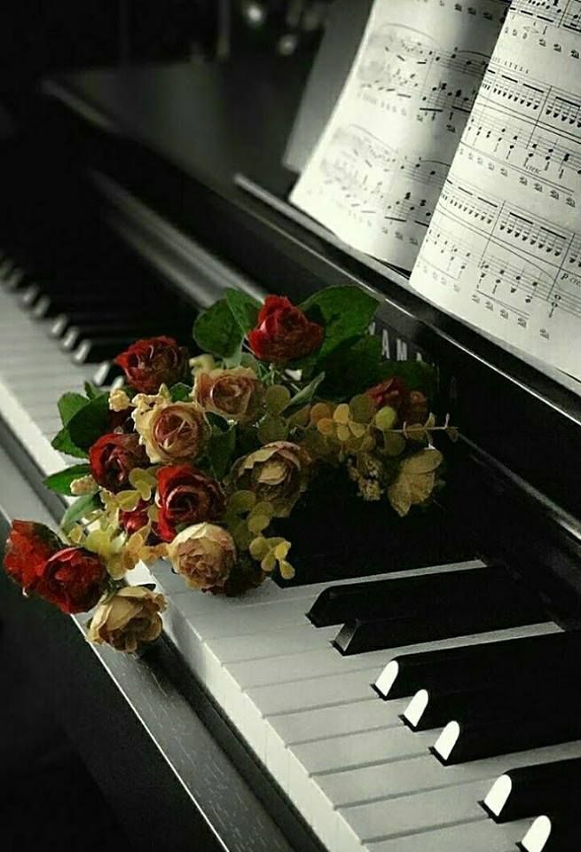 dạy đàn piano với những bản nhạc cổ điển