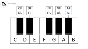 TẬP ĐỌC NỐT NHẠC CHO NGƯỜI HỌC PIANO – CƠ BẢN NHƯNG CỰC KỲ QUAN TRỌNG